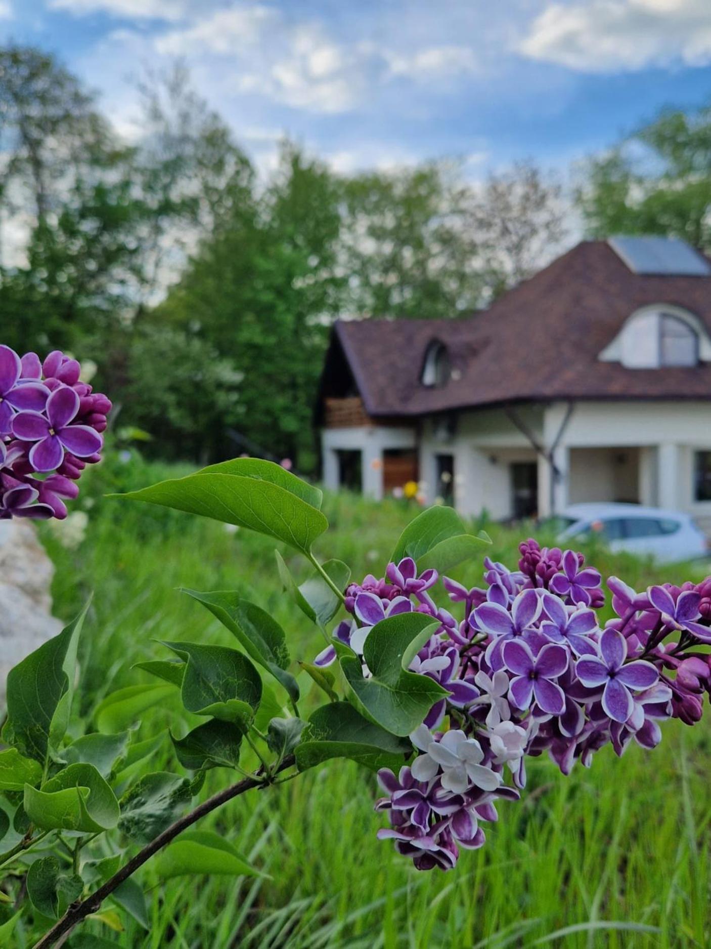 Hotel Provence Suceava Exterior foto