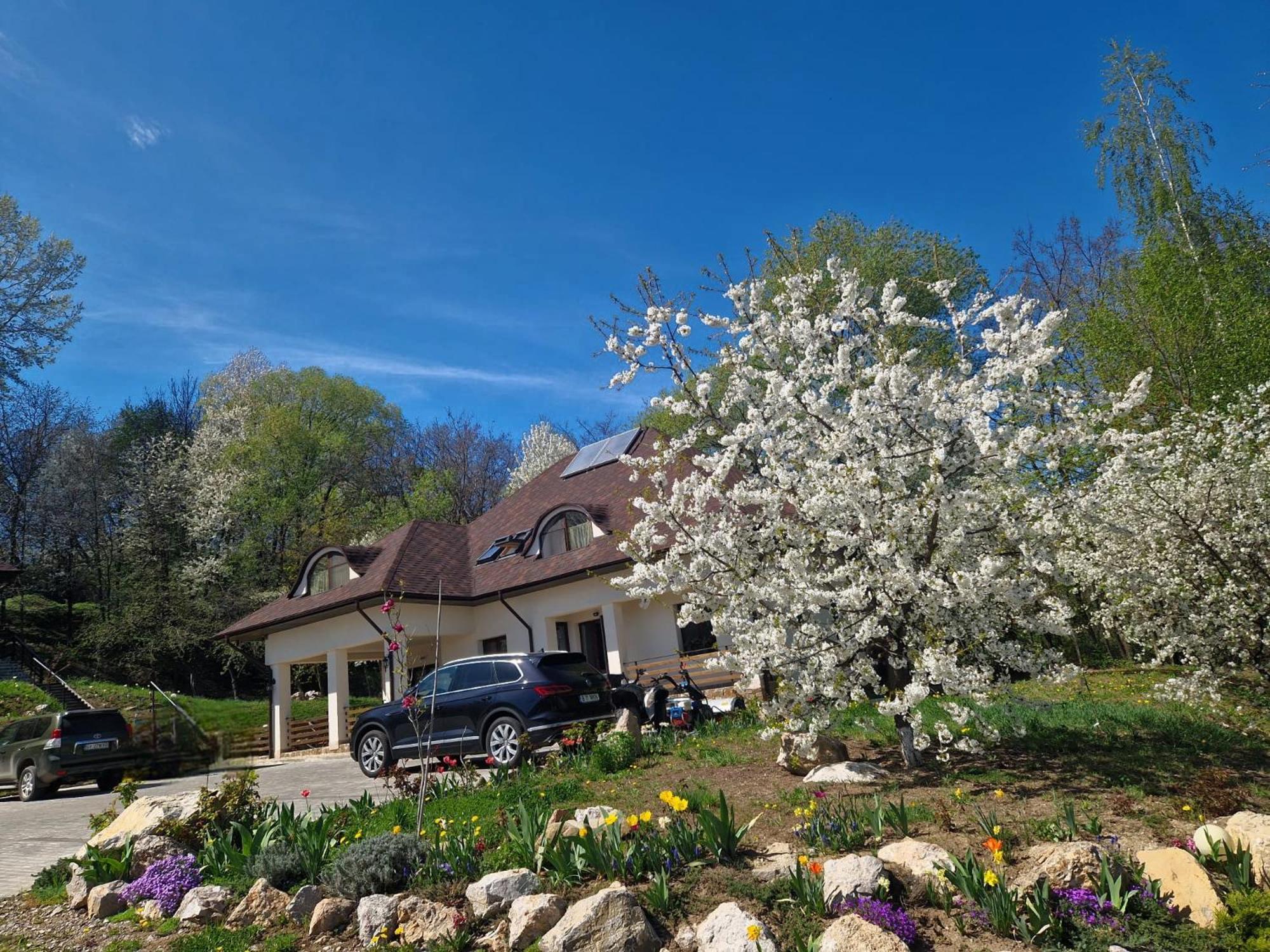 Hotel Provence Suceava Exterior foto